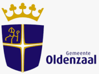 gemeente oldenzaal Flag